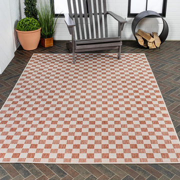 Aimee Traditional Cottage Checkerboard Indoor/Outdoor Area Rug